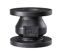 8910 - Silent Check - Class 125 Cast Iron 8910 - Silent Check - Class 125 Cast Iron